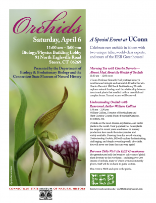 Flyer for 2019 Orchid event