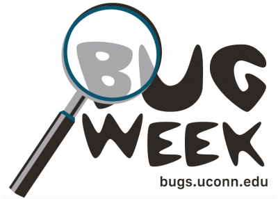 Logo for Bug Week
