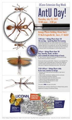 An image of the Bug Week 2019 flyer