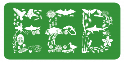 Logo for the UConn Ecology and Evolutionary Biology Department