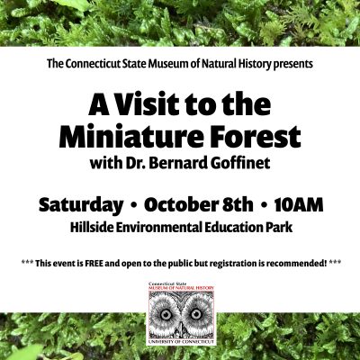 Social media flyer for the museum program Visit to the Miniature Forest