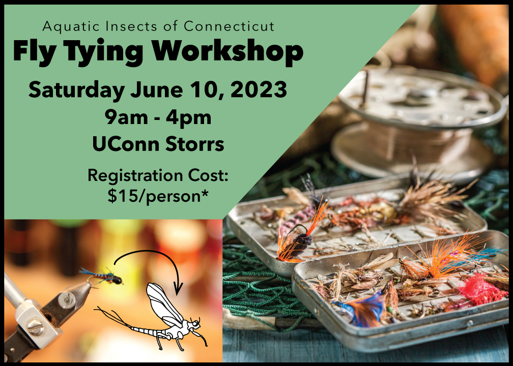 Flyer for fly tying workshop at UConn on June 10, 2023