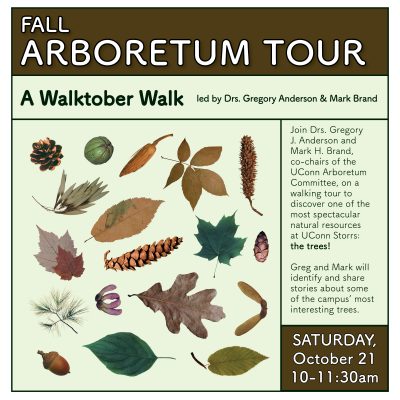 A digital flyer for a museum program in the UConn Arboretum. This fall tour is a Walktober event