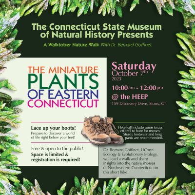 Digital flyer for a museum program about the Miniature Plants of Eastern Connecticut. This is a Walktober Event